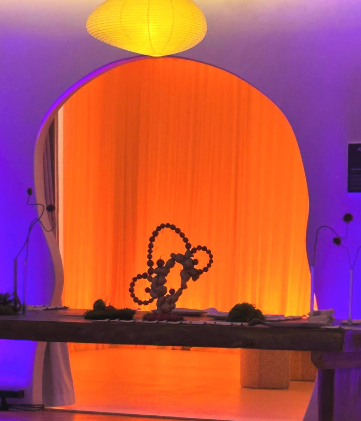 Концепция. Свадебный и репортажный фотограф Элина Козырьянова