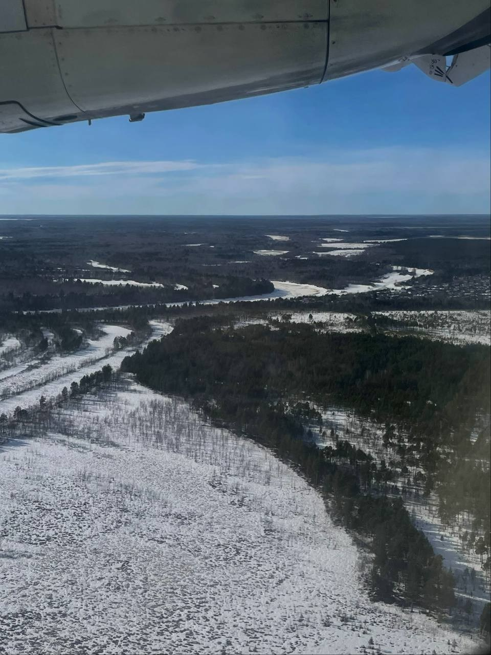 Лягушки-путешественницы. Портретный фотограф | Олеся Комарова | Екатеринбург