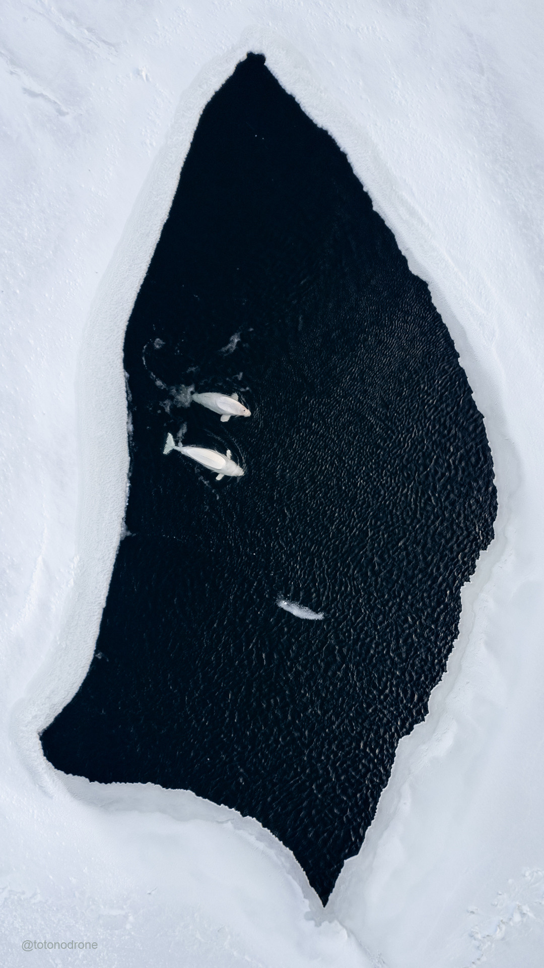 Заставки на телефон Владивосток. Фотограф во Владивостоке Антон Блохин