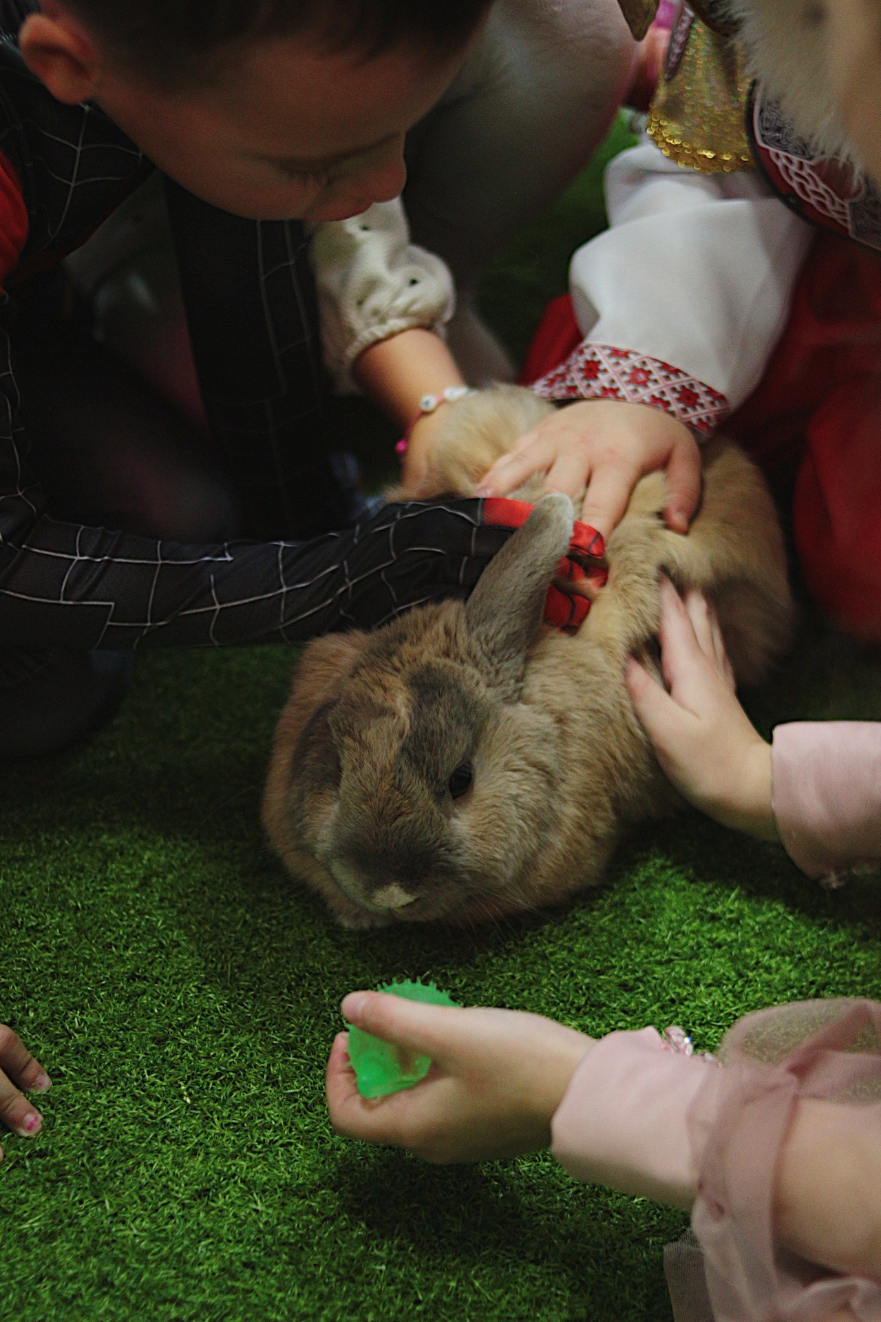Егор 5 лет. Фотограф Пирумян Анна. г. Сургут, г. Воронеж