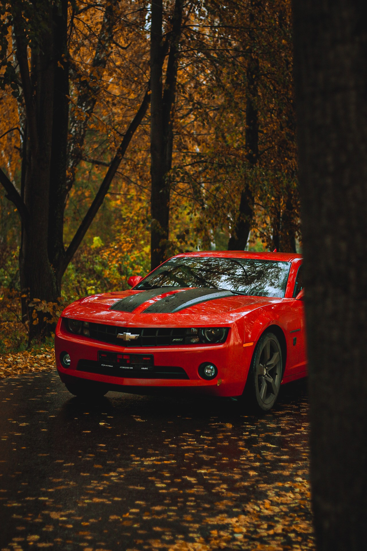 Cars. Фотограф Ксюша Костюченко