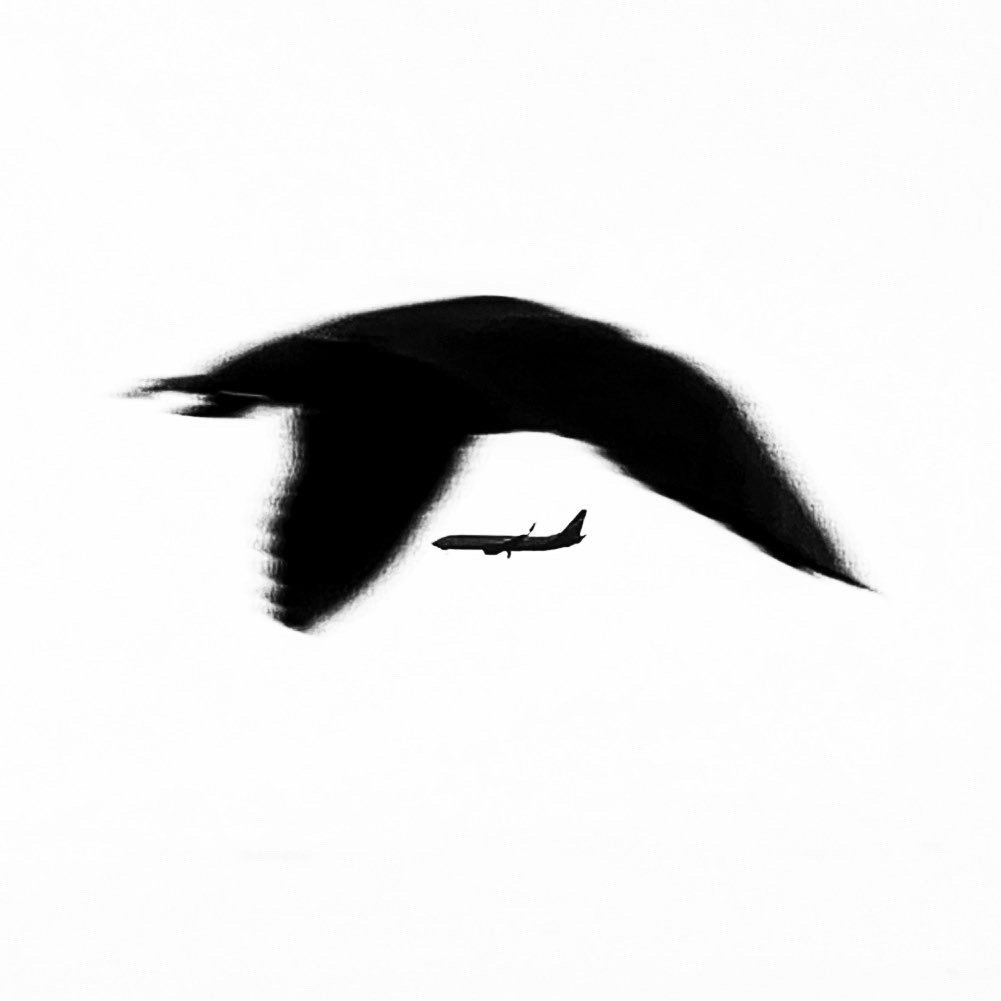 Работы с телефона. Свадебный фотограф в Москве Сафонова Анна