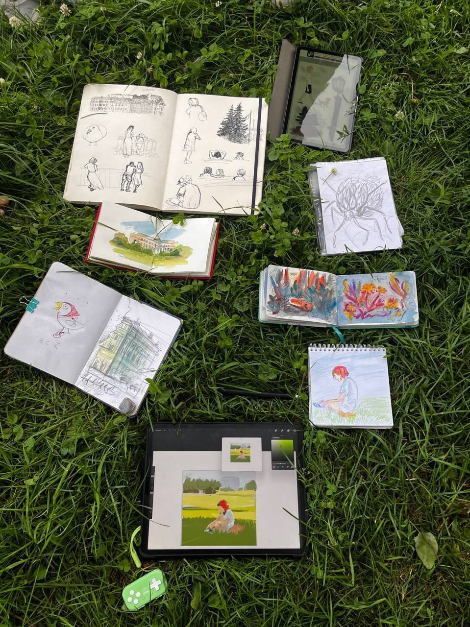 Рисоварка. Художник Варвара Форс