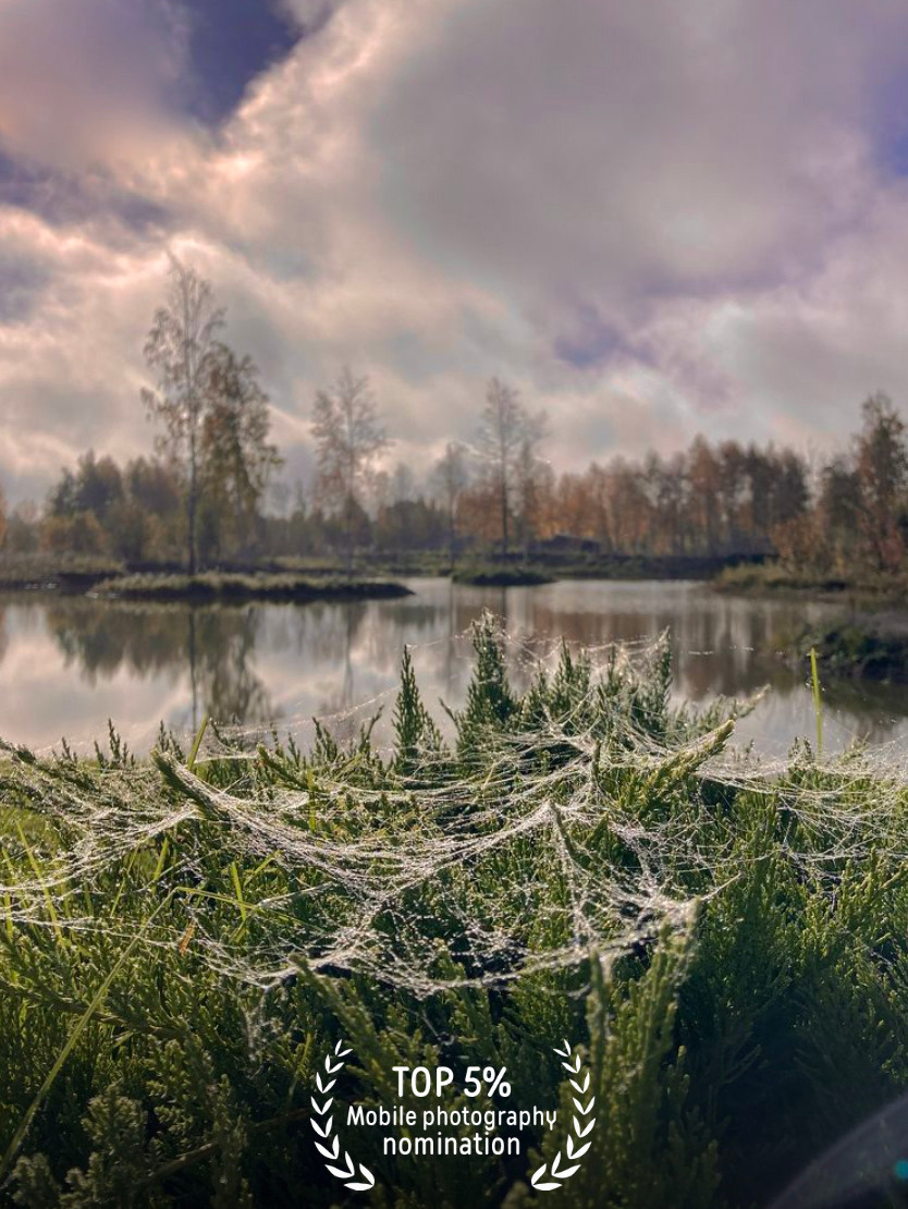 עליי. צלם ואמן ילדים ומשפחה