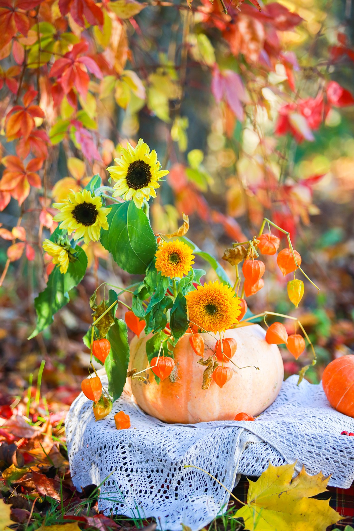 Юбилей собаки, фотосессия к дню рождения собаки 10 лет. Семейный и детский фотограф в Москве Мария Быкова