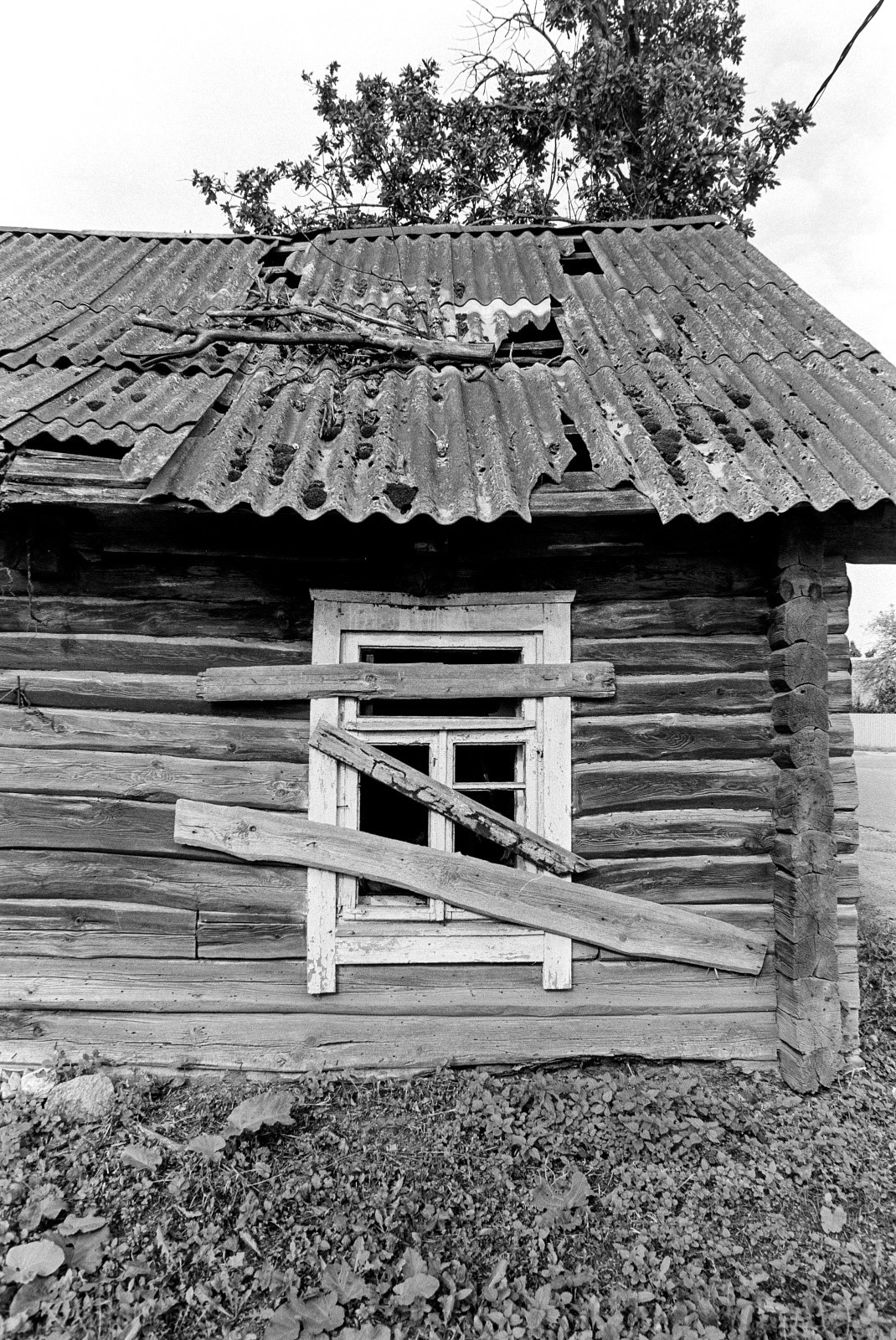 Плёнка ILFORD FP4+