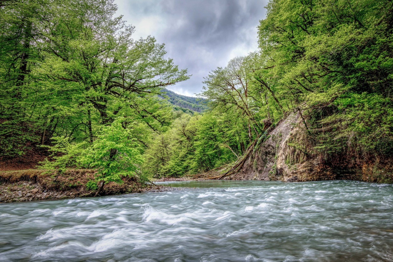 Горная река Сочи, Природа, Алексей Касаткин, Москва