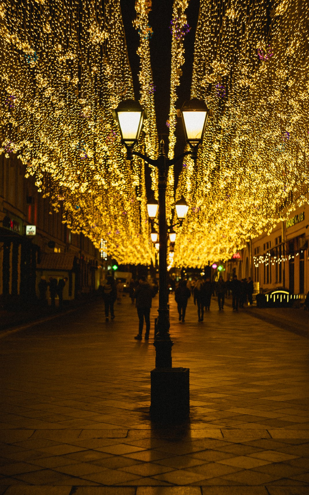 Москва. Ноябрь. 2024. Фотограф в Сочи Елена Лисотина. Фототуры в Сочи