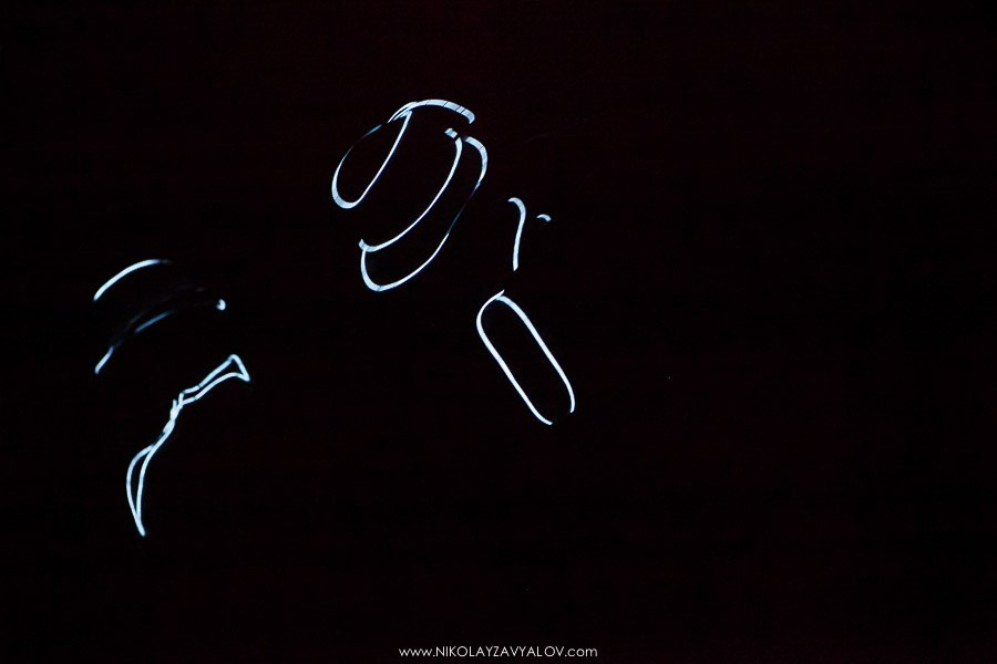 АЛВИСА (корпоратив). Видеооператор/Фотограф Николай Завьялов