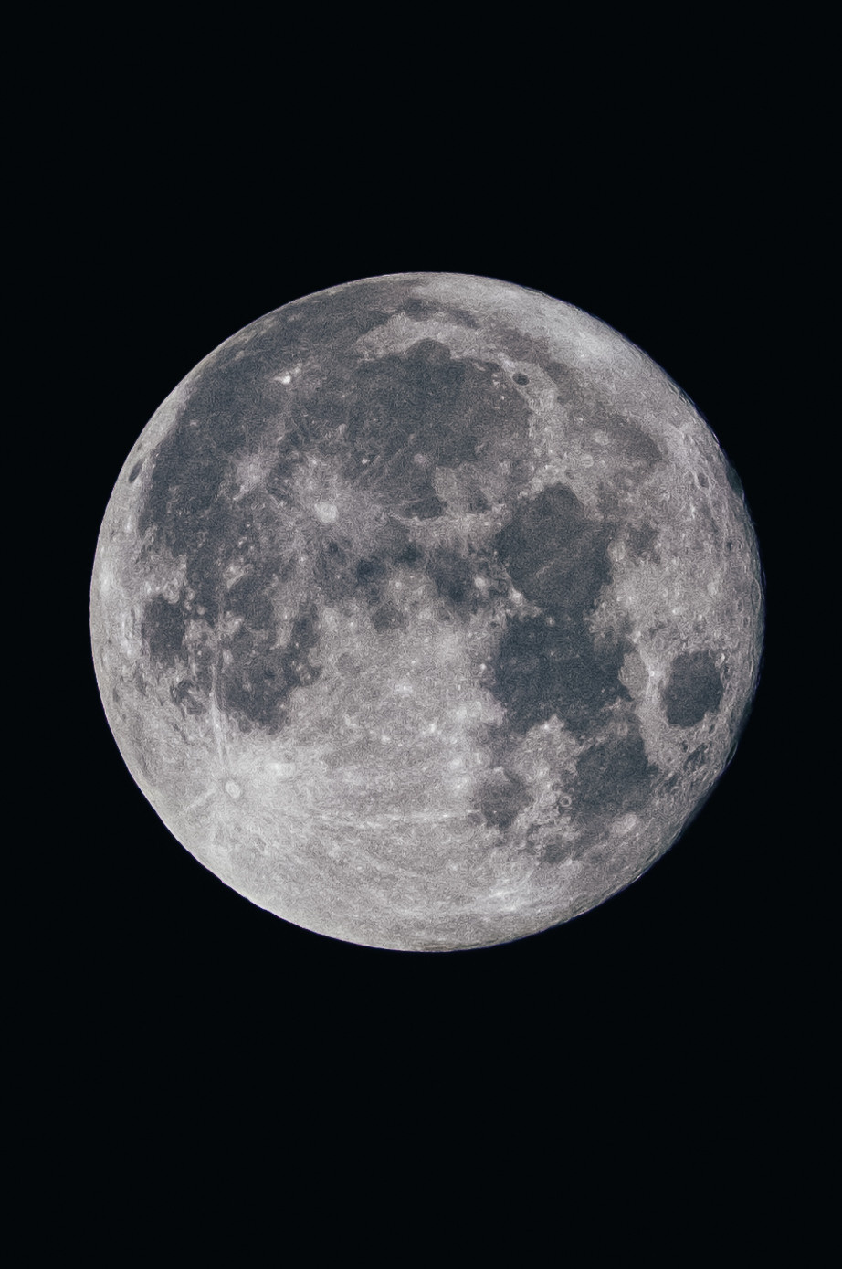 Street. ANNA SHORT | Photographer