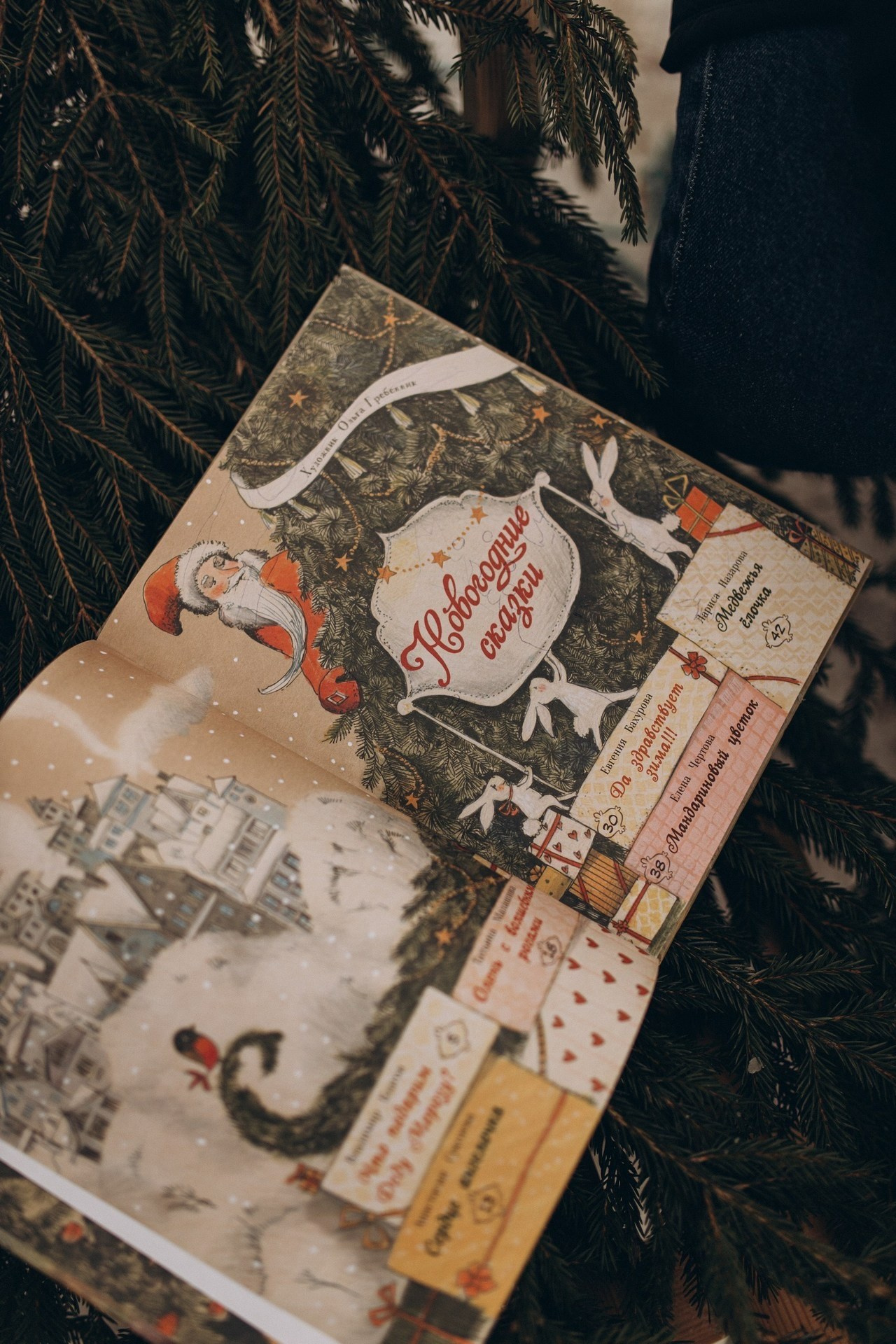 Приключение Вовы и его родителей. Услуги