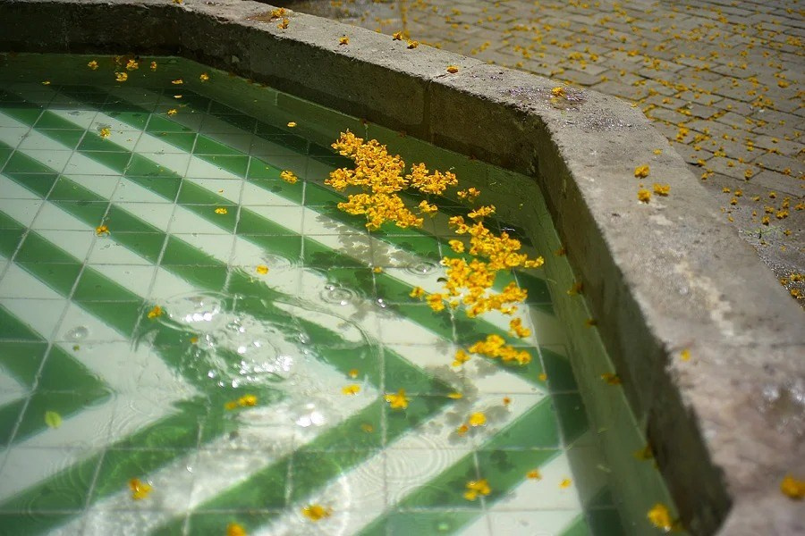 Путешествия. Фотограф Ирина Абзалова