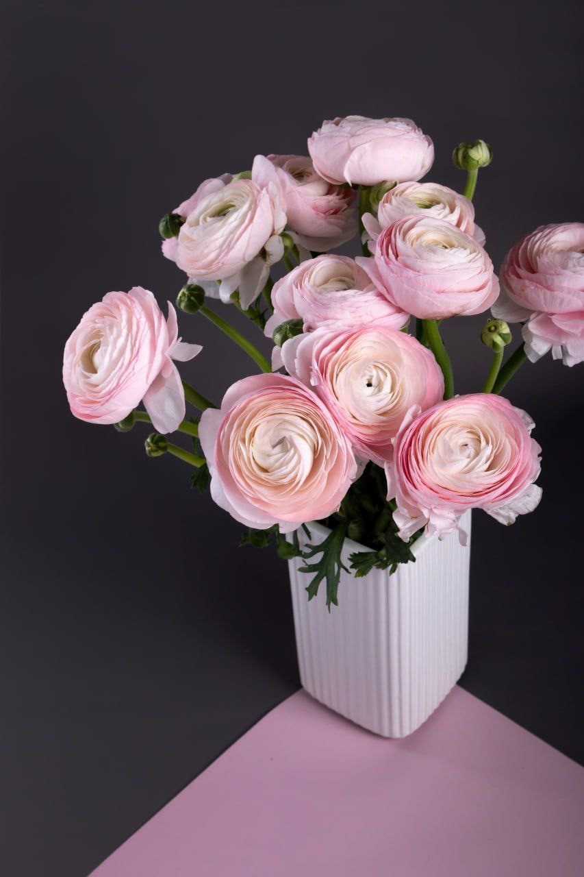 Преметный фотограф. Репортажный и портретный фотограф в Москве Саханцева Анна