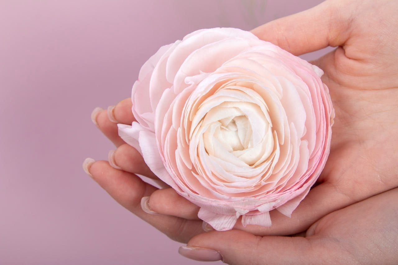 Преметный фотограф. Репортажный и портретный фотограф в Москве Саханцева Анна