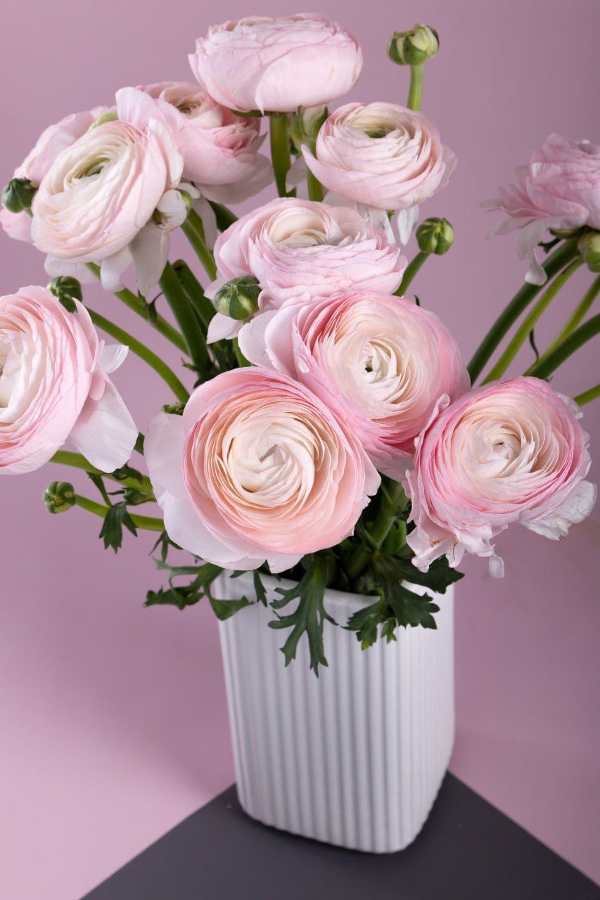 Преметный фотограф. Репортажный и портретный фотограф в Москве Саханцева Анна