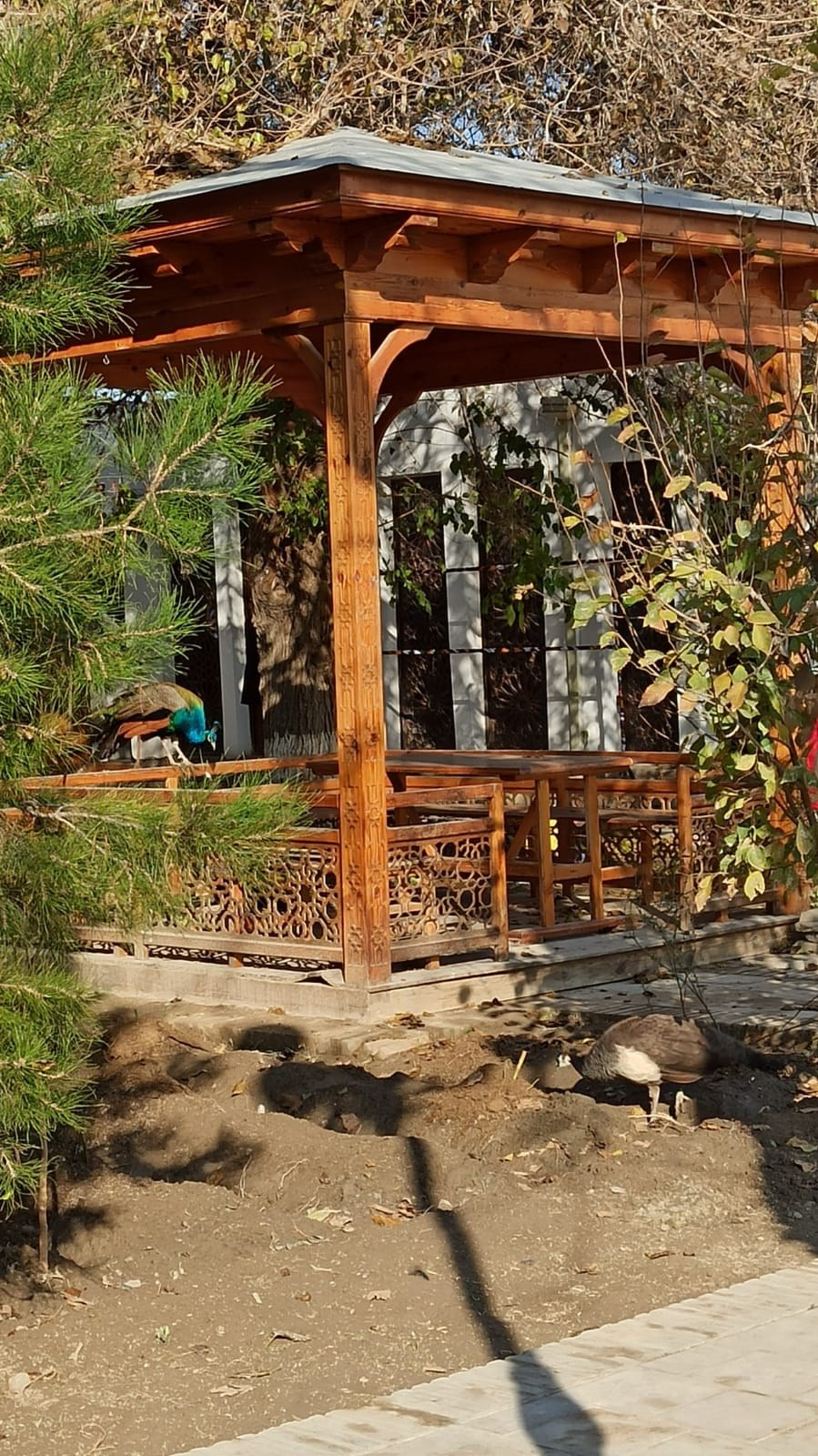 Сказочный Узбекистан | 14 — 17.11.2024. Галерея Фантим