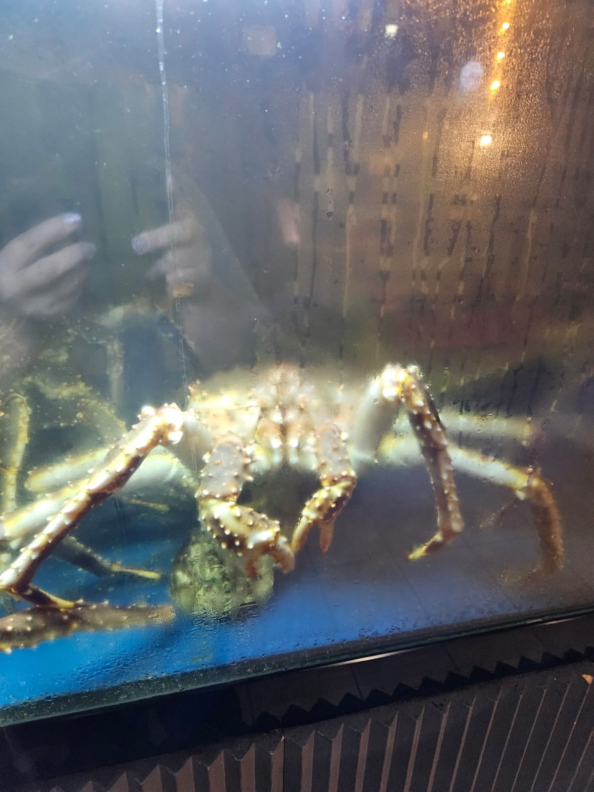 Владивосток 1 | 18-21.09.2025. Галерея Фантим