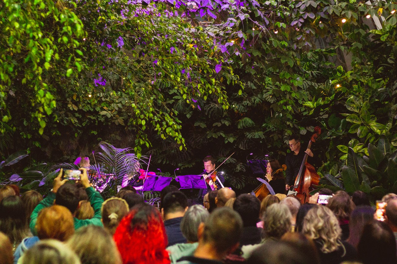 Petro Art — квартет в Таврическом саду (Рок Хиты). EvgenyCraft