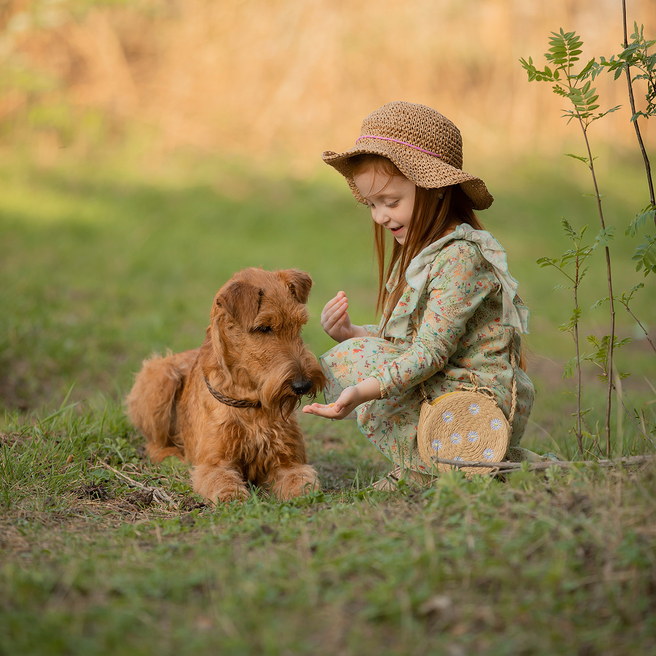 Рыжики. Детский и семейный фотограф в Челябинске Костина Наталья