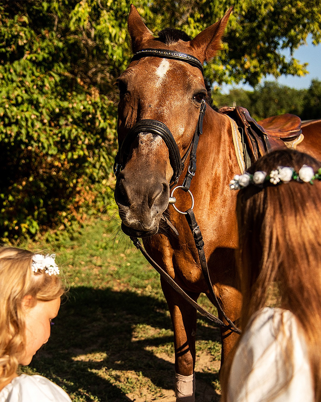 Марина 27.08. Фотограф Балаково Вольск Саратов Исаичкин Даниил