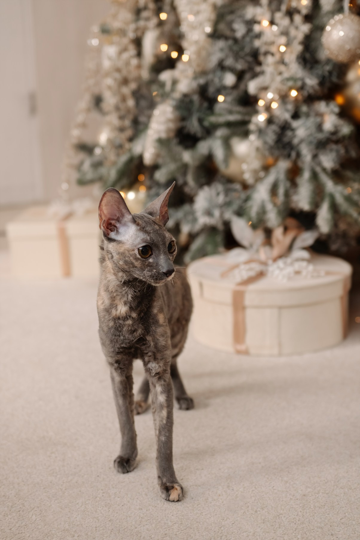 Семейная. Яна с дочкой. Свадебный и сеейный фотограф в Санкт-Петербурге Елена Худякова