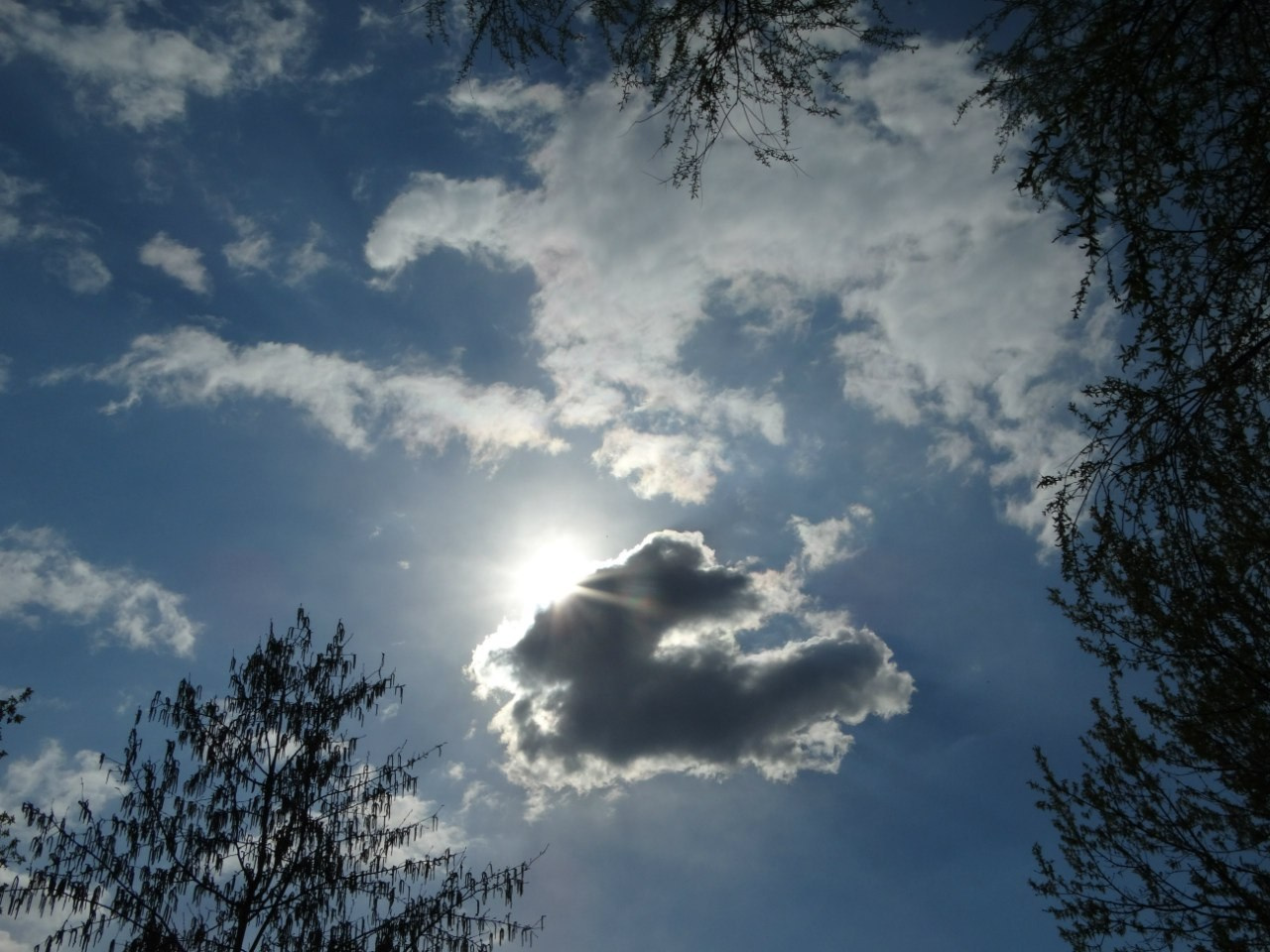 Шашлыки | 01.05.2016. Галерея Фантим