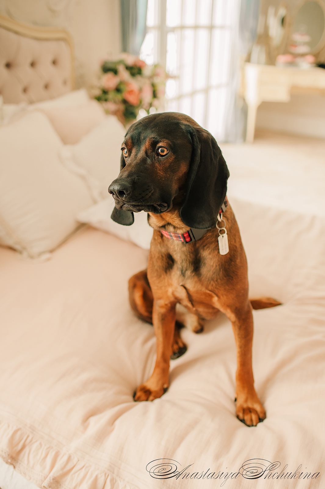 Саша и Лена. Английская история. Семейный и Свадебный фотограф. Санкт-Петербург. Пушкин