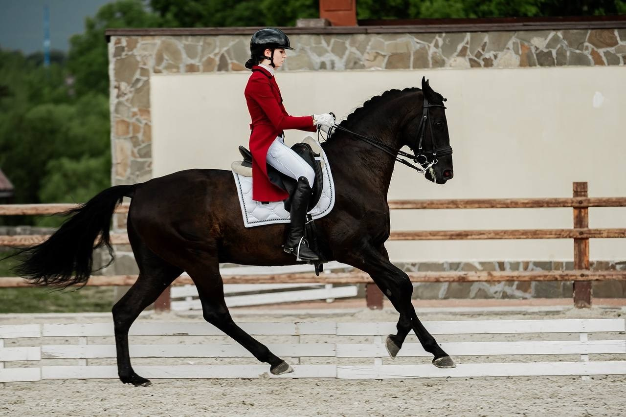 КУБОК КСК «ПЕГАС» ПО ВЫЕЗДКЕ. Куракина Дарья • Конный фотограф