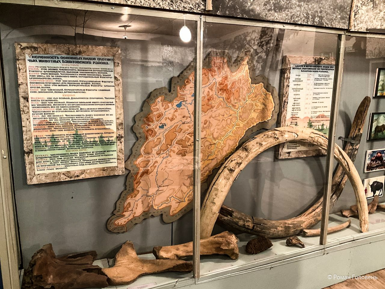 Перегон Cessna-206 из Москвы в Нерюнгри (2023г). Фотоальбом показывающий увлекательный мир авиации и мир медведей Андрея Иванова