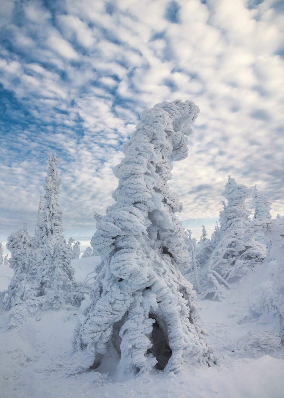 Зимние пейзажи Шерегеша. Профессиональный пейзажный фотограф Алёна Рубан