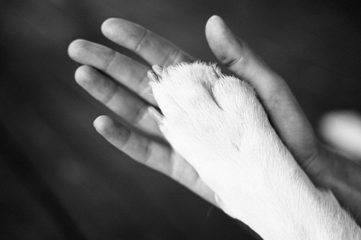 Lovestory. Инесса и Максим. Фотограф в Самаре Екатерина Кроз