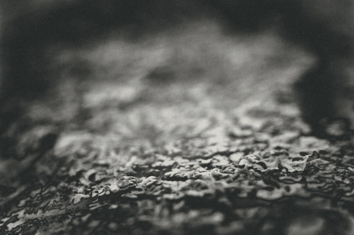 Everyday life. ПЕТР ПОПОВ | VISUAL ARTIST