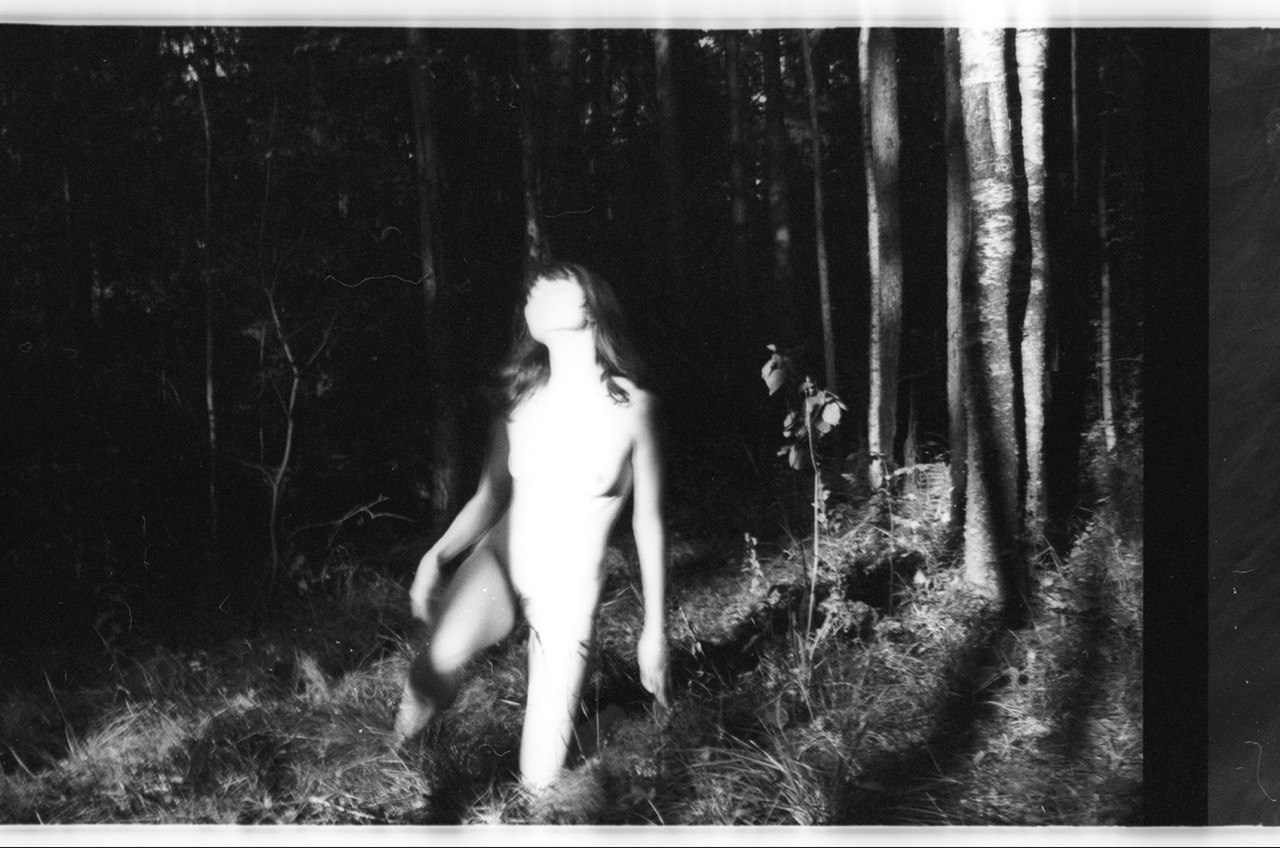 Лесная серия. Kirill Gribov