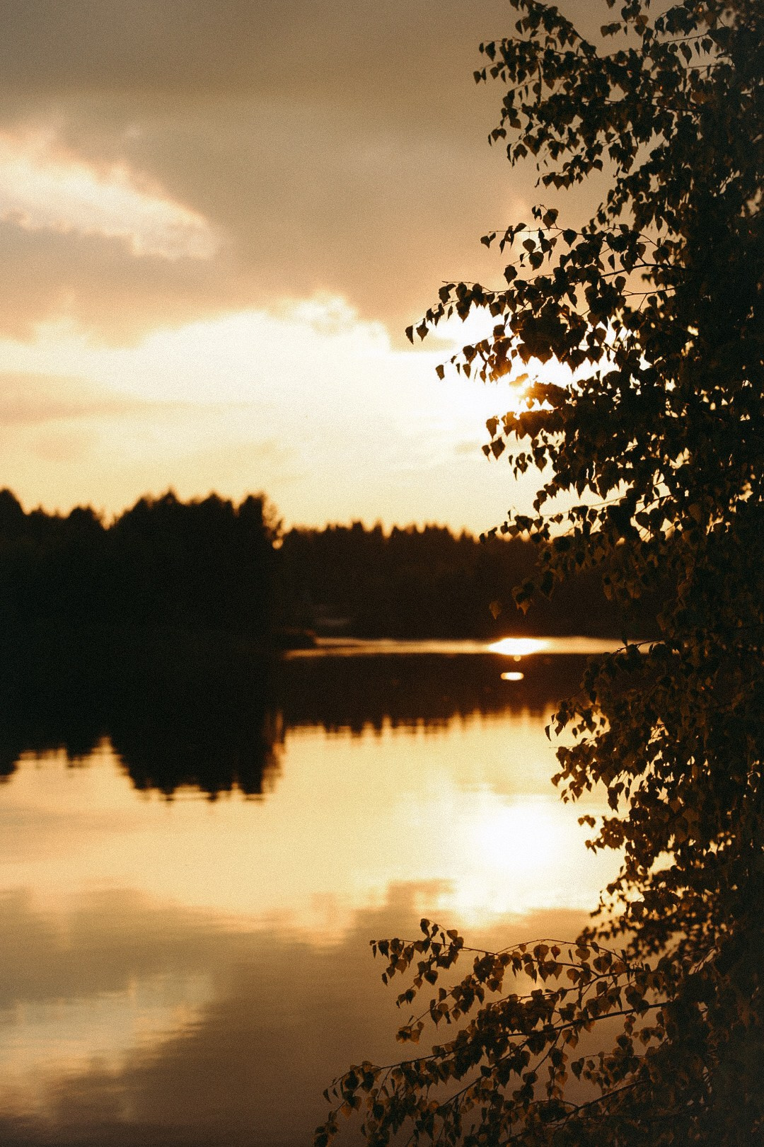 Максим и Лиза. Фотограф Нижний Новгород