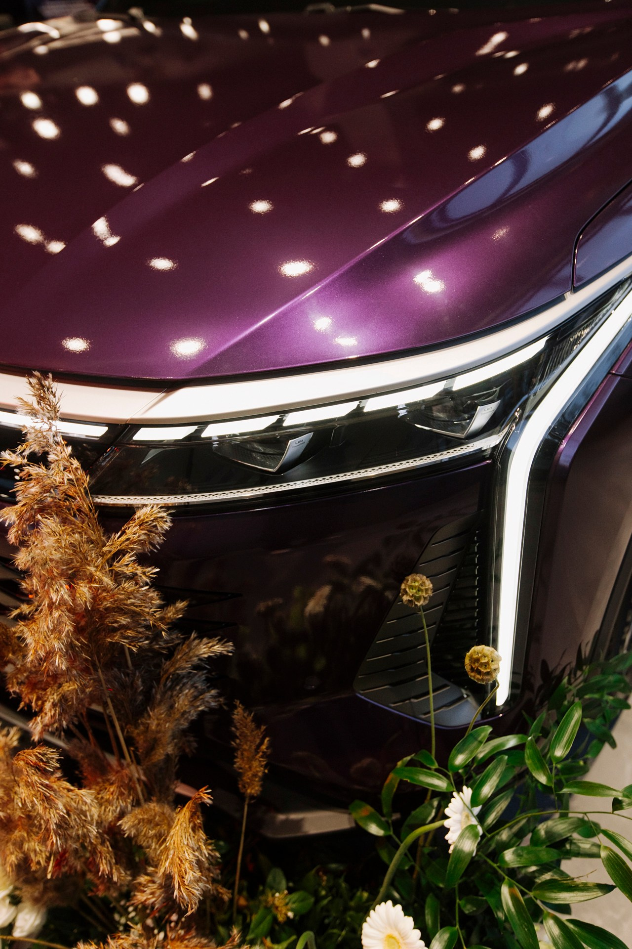 Открытие диллерского центра Exeed. Home