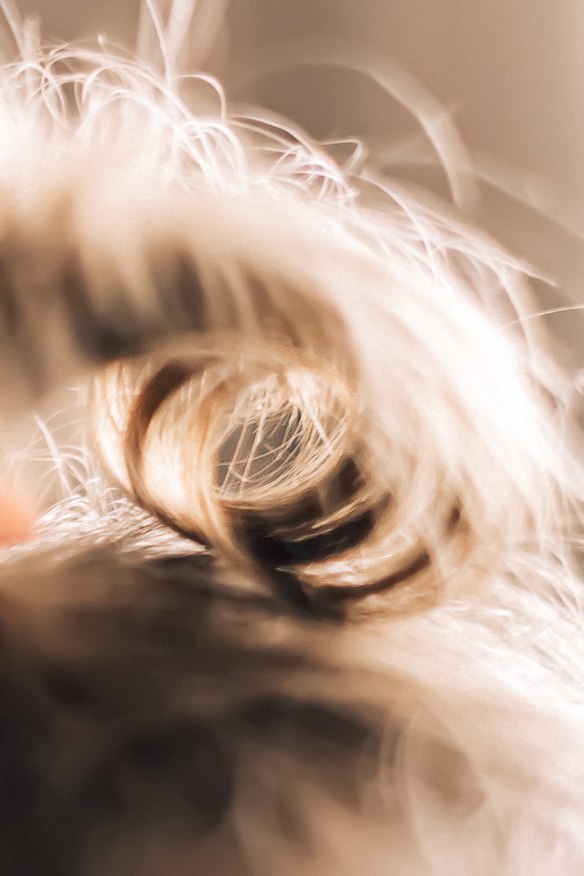 Семейный фотограф биробиджан. Детский и семейный фотограф  Биробиджан Оля Светагор