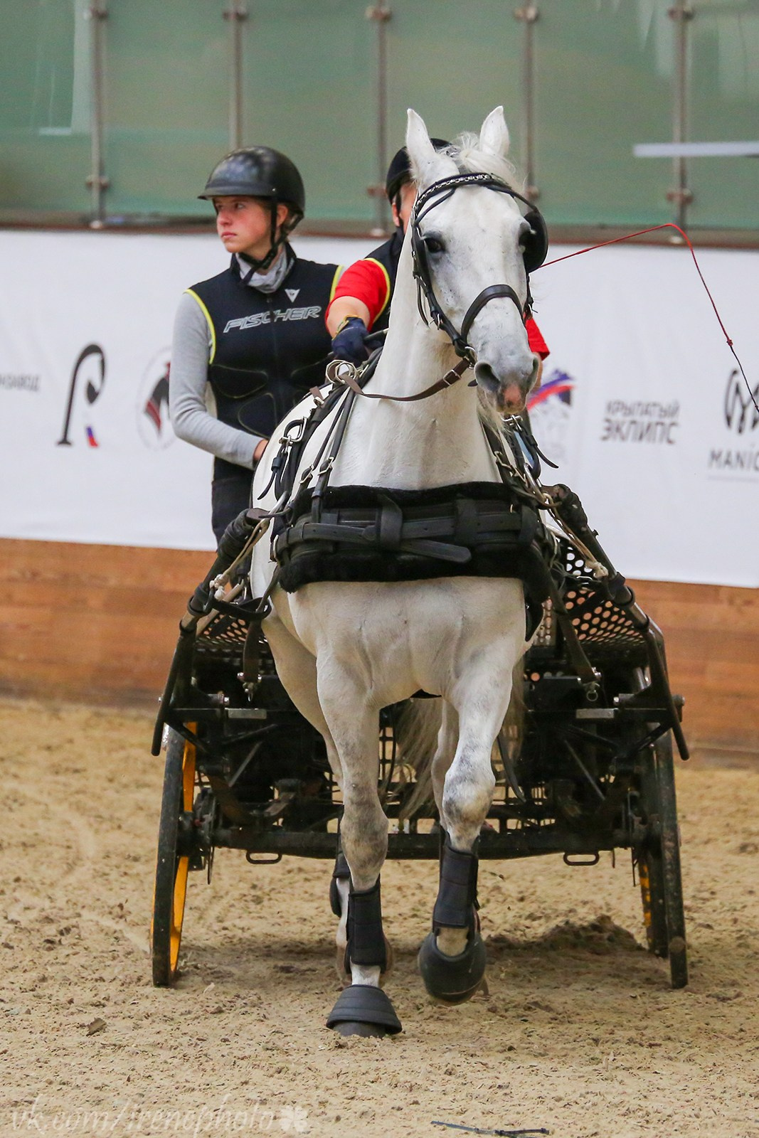 Конная Россия 2023. Irenephoto.ru