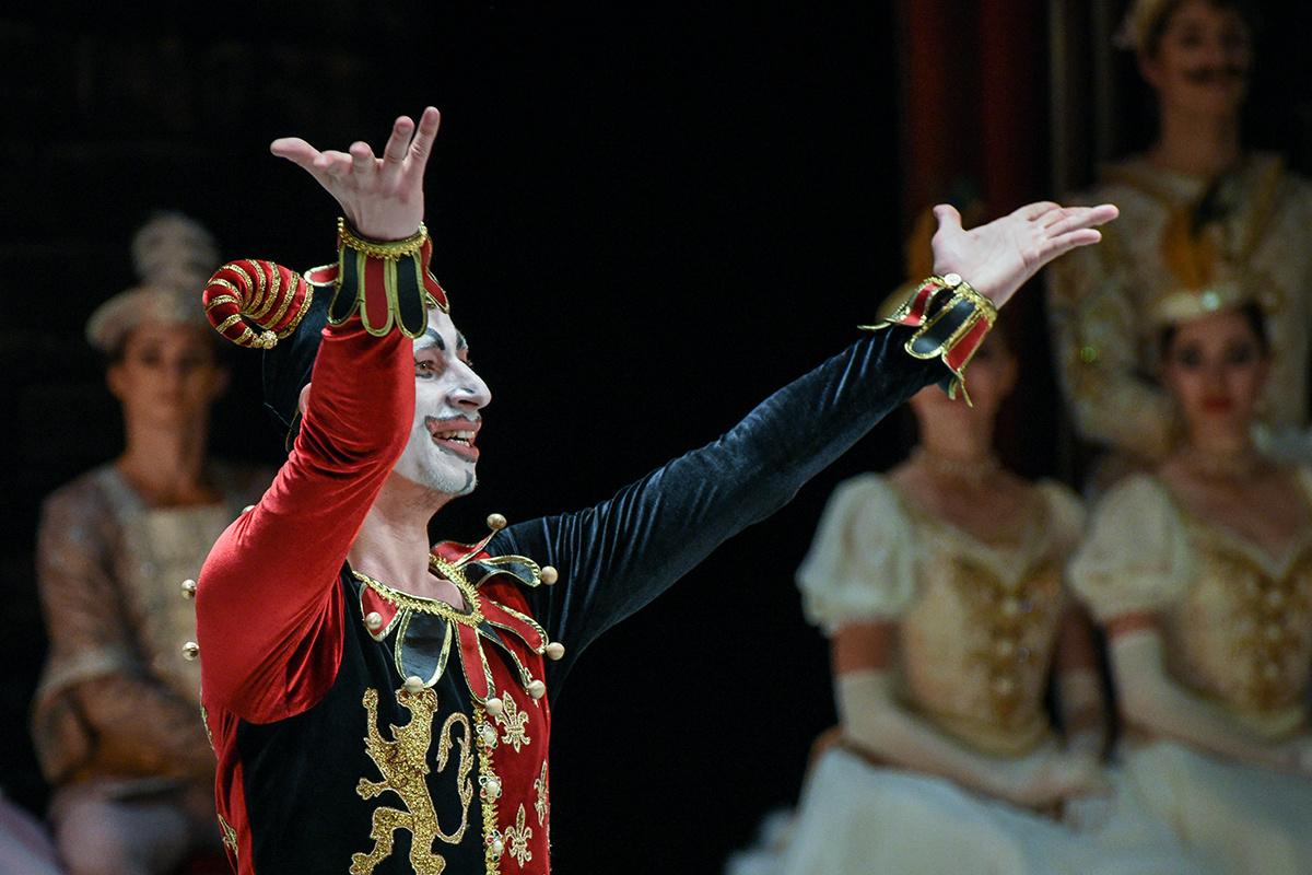 Лебединое озеро в Театре им. Ленсовета‎. Репортажный фотограф в Москве и Санкт-Петербурге Артем Лунев