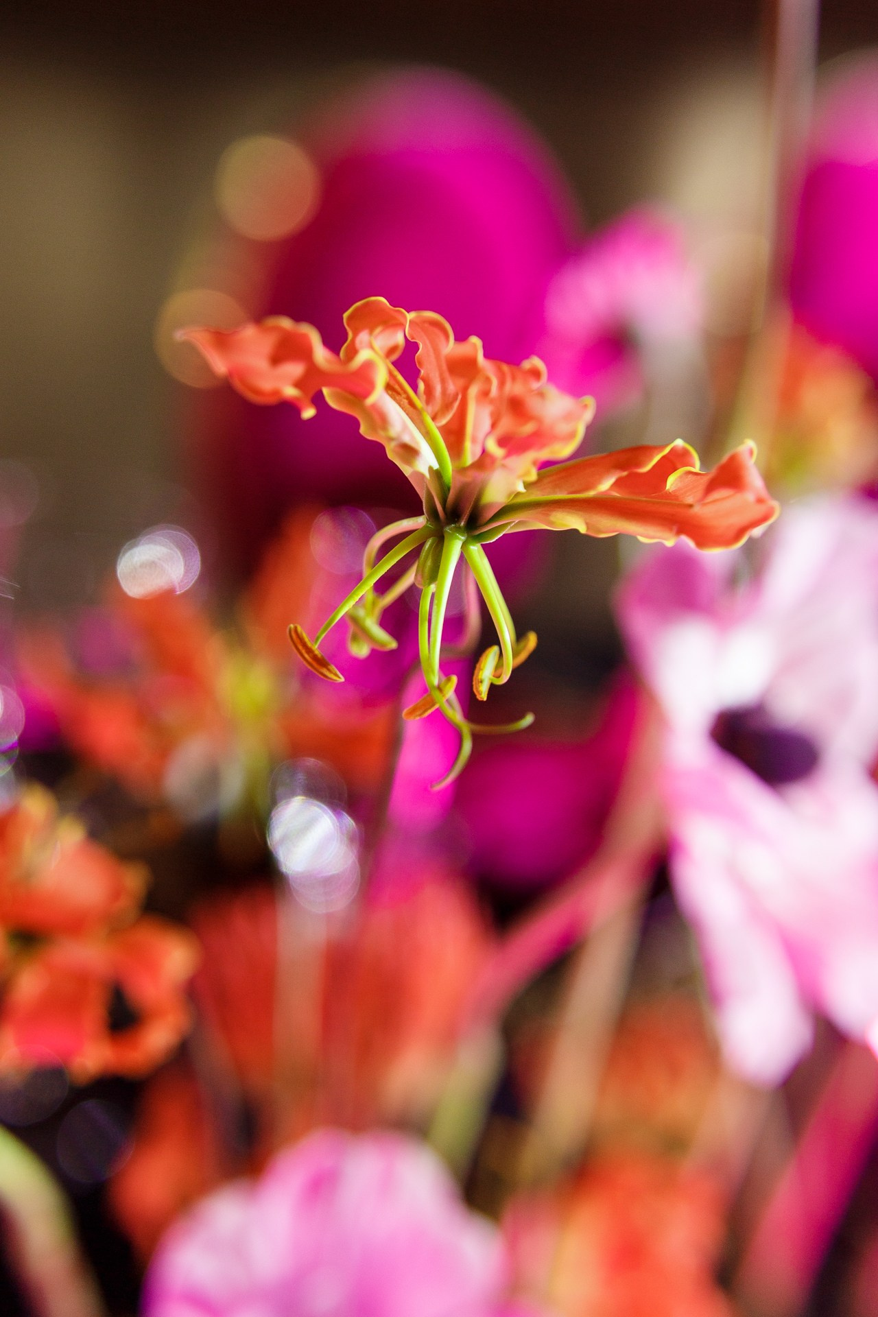 Pink neon. Свадебный фотограф в Санкт-Петербурге Наталья Вендт