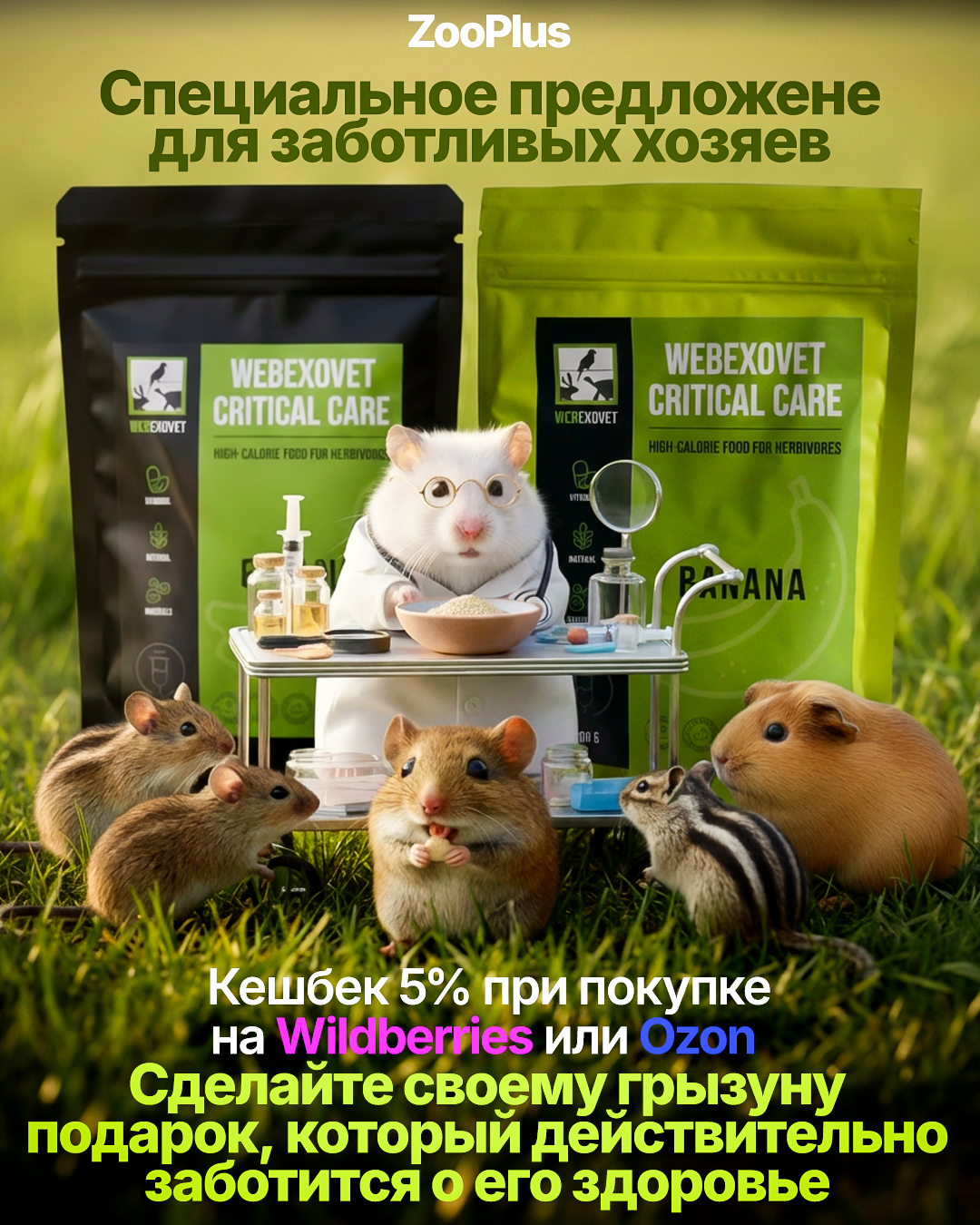 Рич контент/рекламные креативы. Инфографика для маркетплейсов, ваш персональный дизайнер