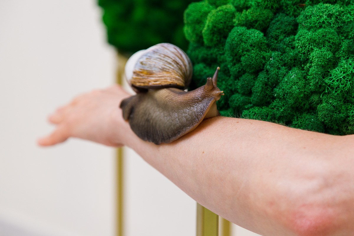 БИЗНЕС КОНТЕНТ. АЛЕКСАНДР ФОКС