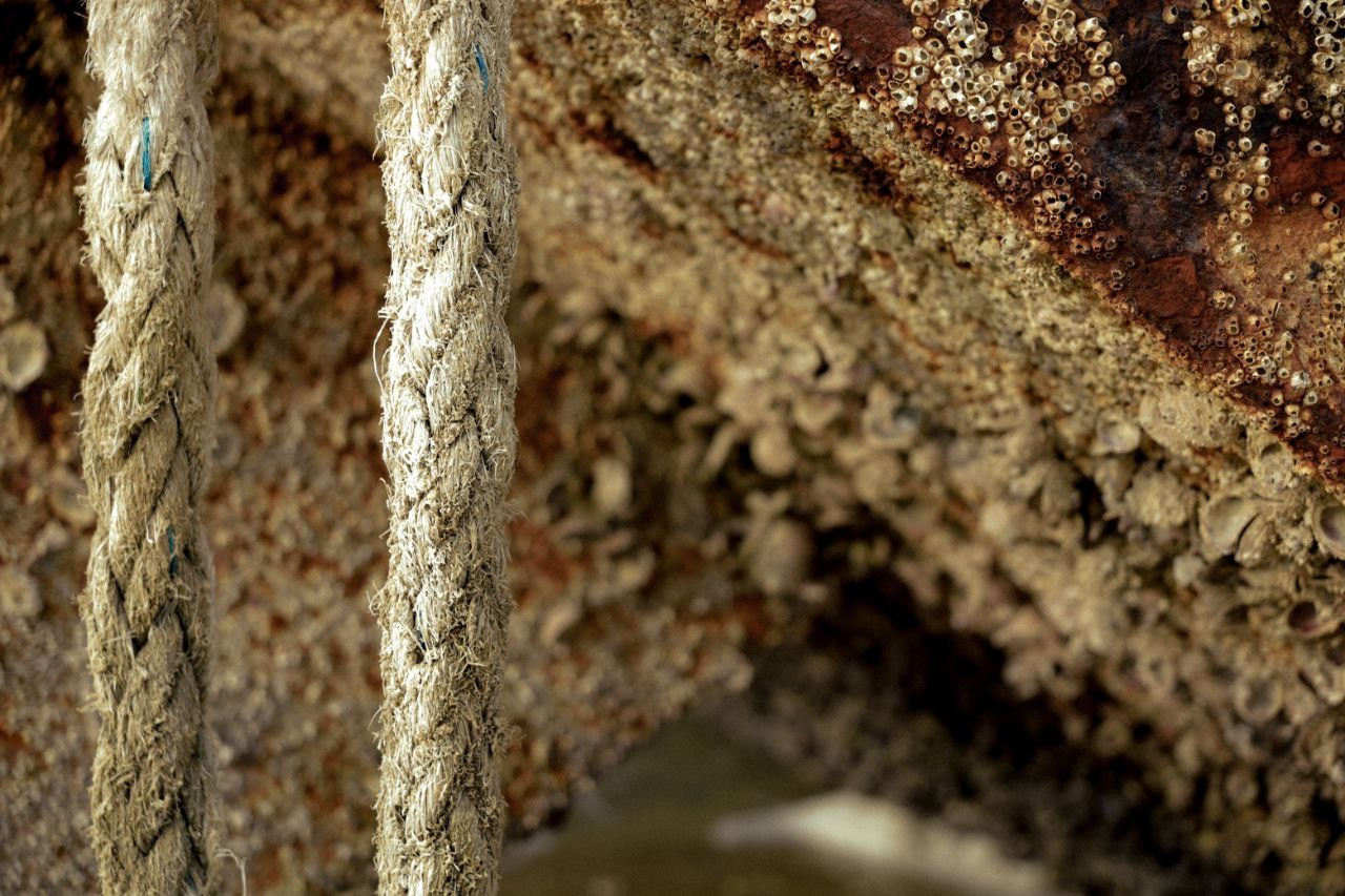 Эль-Джубайль. СА. 2025. Фотограф Михаил Олейник