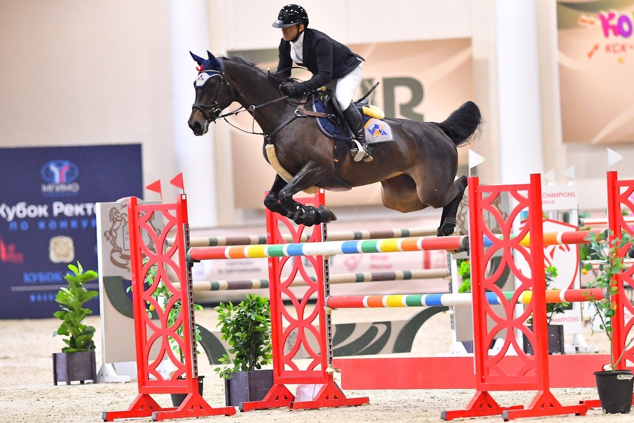 Отзывы. ТУРНИРНАЯ КОННАЯ ФОТОГРАФИЯ, Руднева Ольга и Евгений Адеев