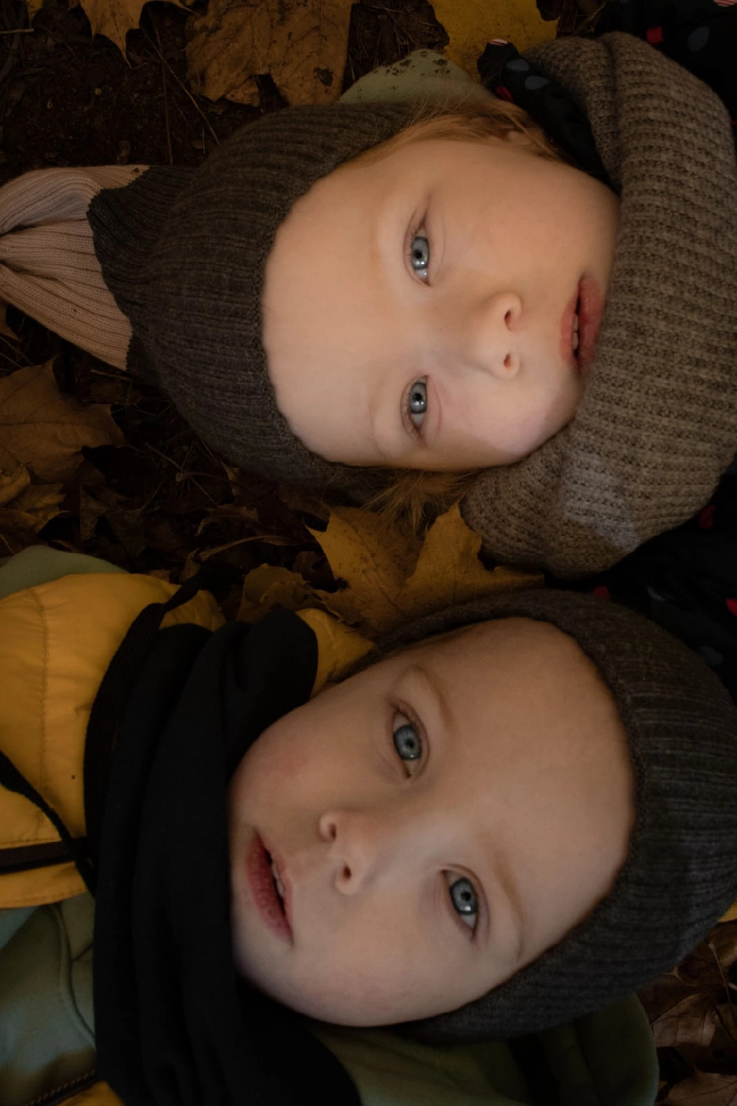 Осень. Фотограф Москва