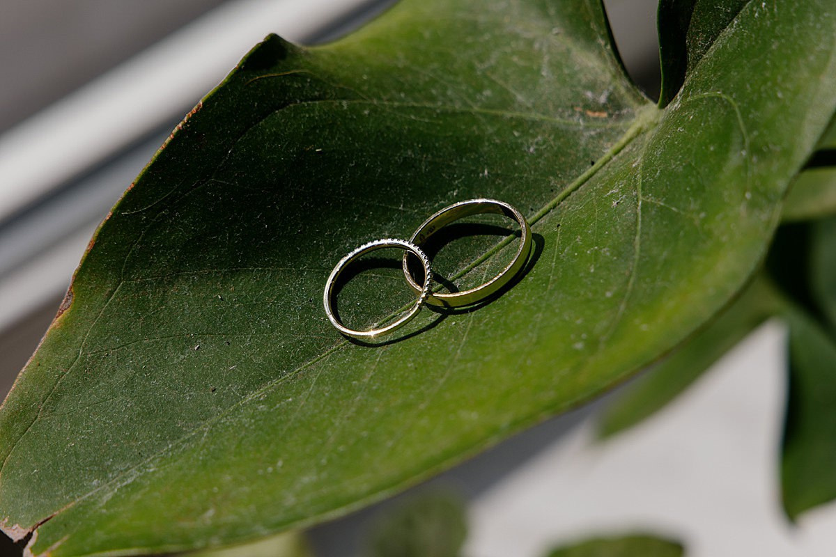 Свадебный сезон 2025. Фотограф СПб Александр Шведов. Фотограф СПб Александр Шведов: Свадьбы, фотопрогулки, портфолио, фотопроекты