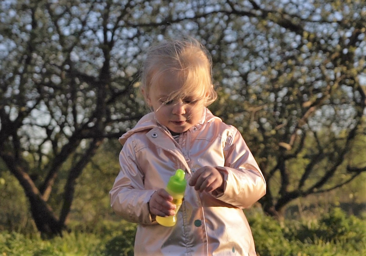 Видеосъемка прогулки в яблоневой саду весной. Видеограф Осинина Татьяна — видеосъемка в Москве