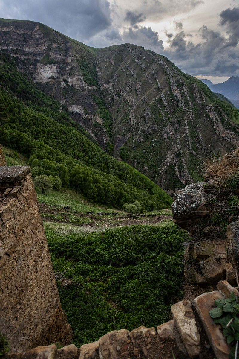 Аул-призрак Гамсутль. Photomantis