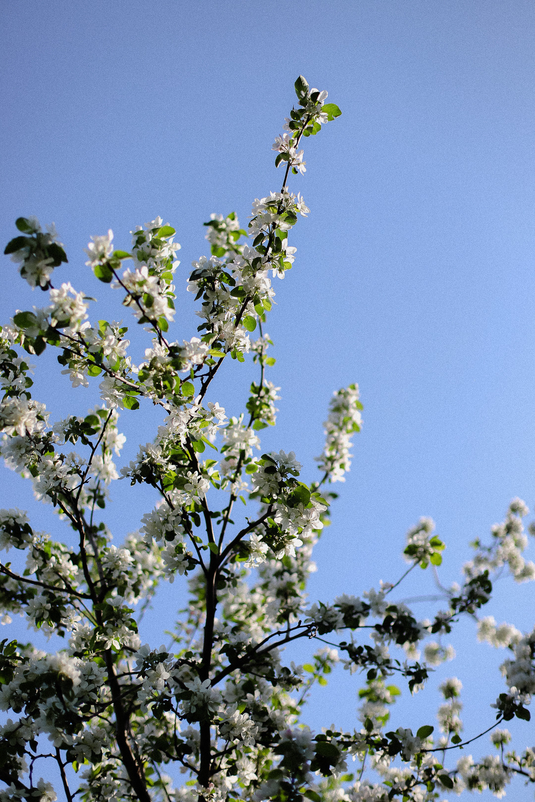 Макаровы. Фотограф в Алматы и Москве Даша Пушкина
