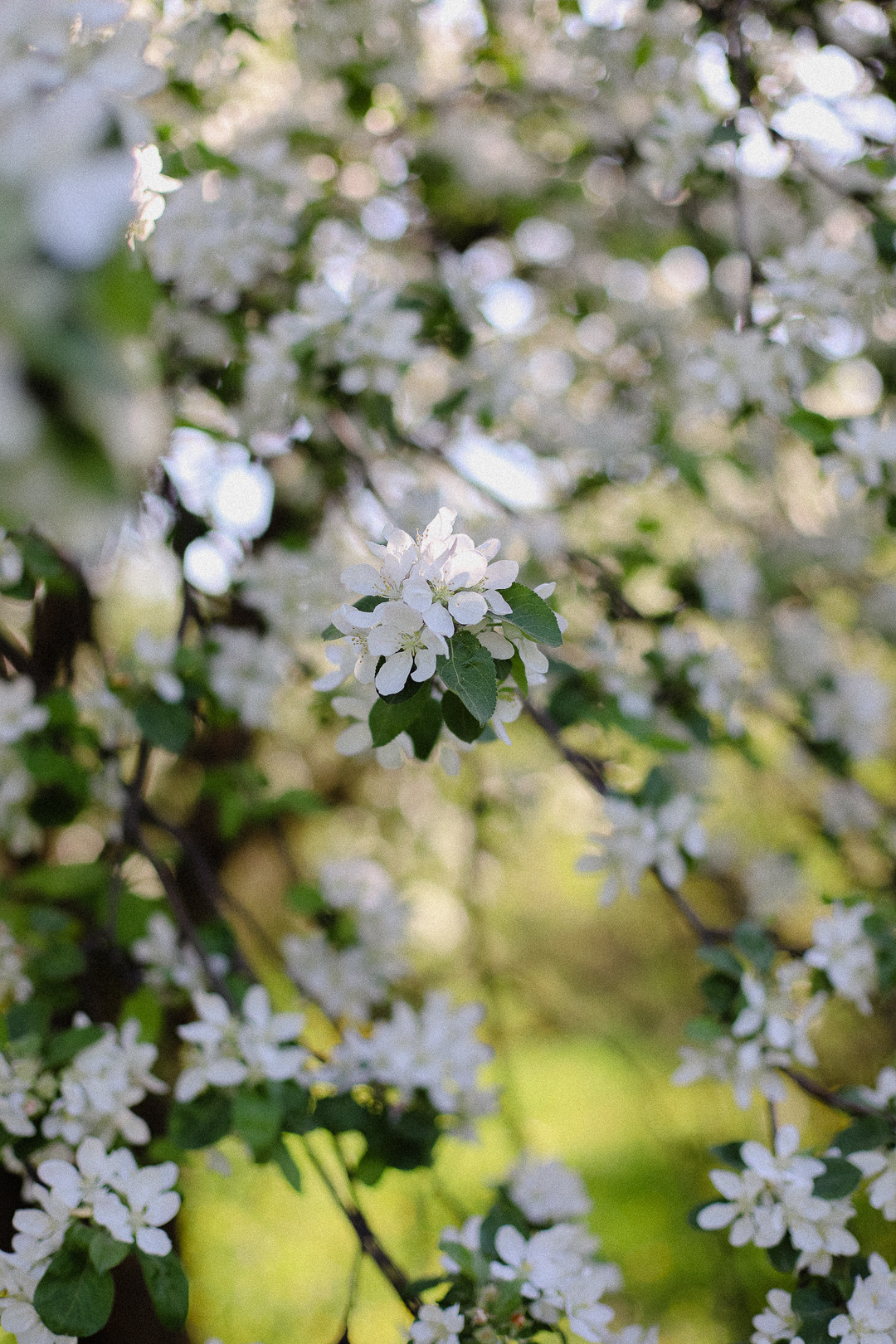Макаровы. Фотограф в Алматы и Москве Даша Пушкина