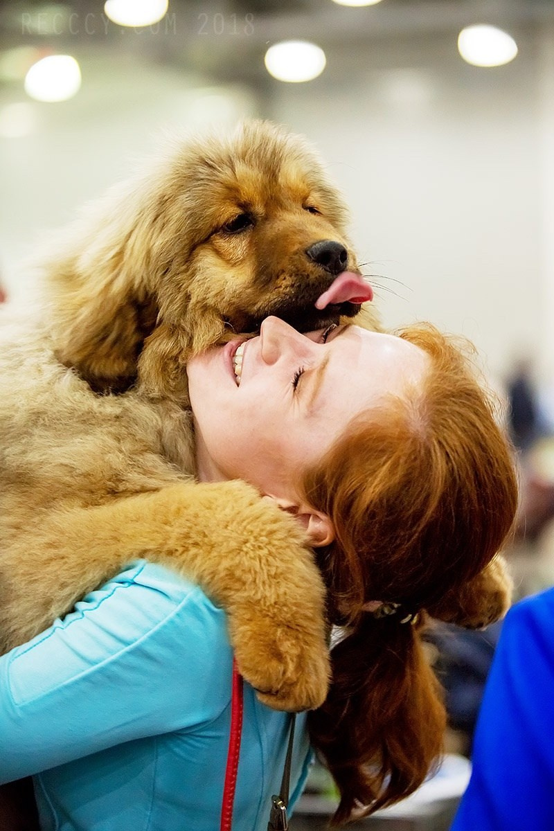 Отзывы. Рекламное, имиджевое, репортажное и свадебное видео в Челябинске